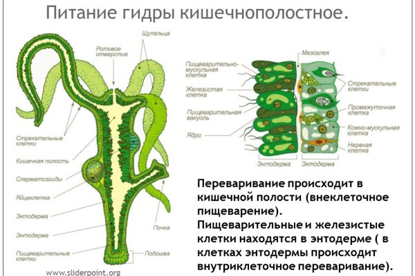 Что такое кракен плейс